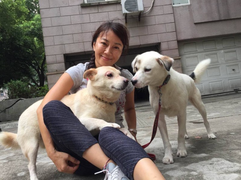 Dog have sex with a dog in Hangzhou